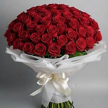Букет 101 Красная роза Блэк Мэджик #REPLACE_PRED# Селятино