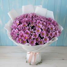 Букет цветов из:  Хризантемы #REPLACE_PRED# Селятино