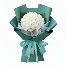 Букет цветов из:  Гортензия в Селятино